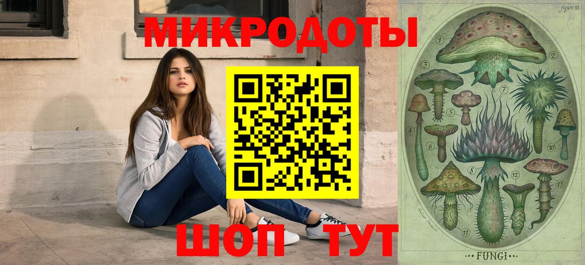 Псилоцибиновые грибы мицелий Искитим