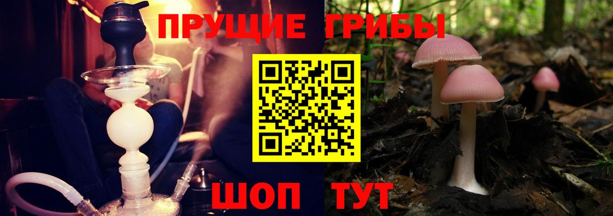 Галлюциногенные грибы мицелий  сколько стоит  Искитим  Вход с VPN 
